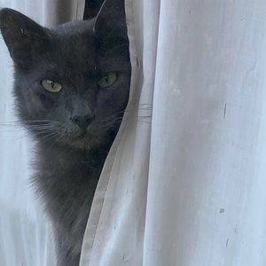 Meet your Posher, Thania